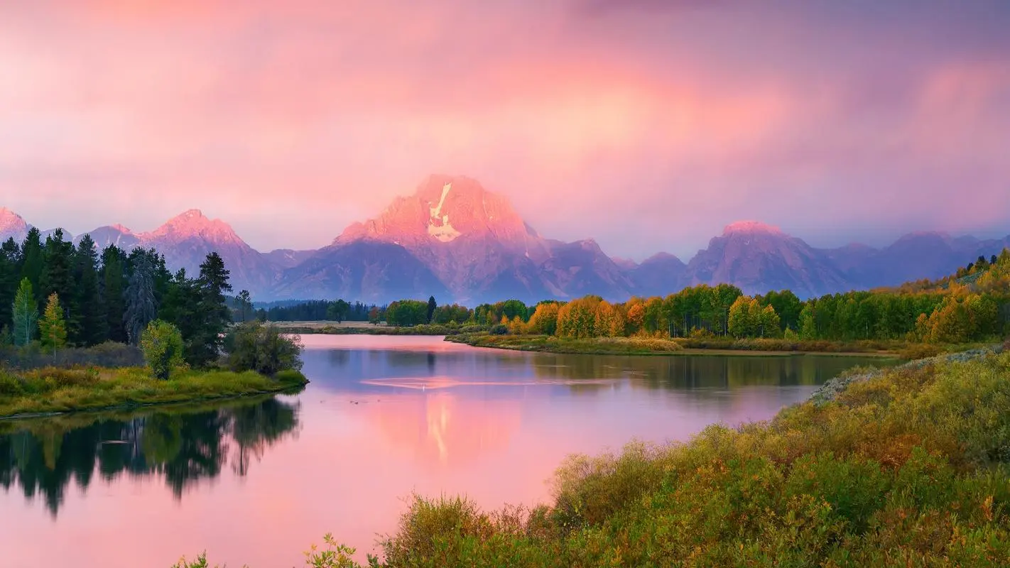 先进先进